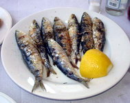 Greek food, grilled sardines