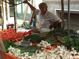 Farmers Market: garlic, onions