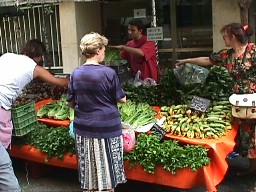 farmers market: lettuce, spinach, green leafy vegetables