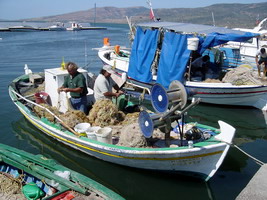 sardine boat in Skala, kaloni, Lesvos, Greece