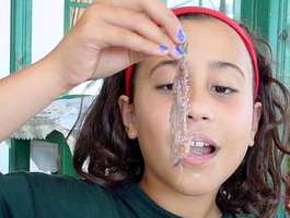 Amarandi Barret demonstrates the Tom & Jerry Method of eating Sardeles Pastes